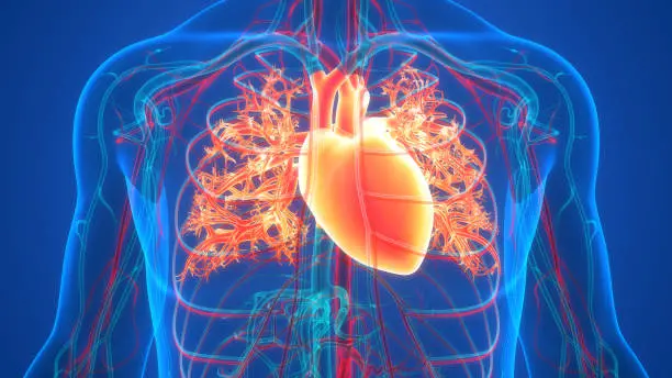 Cardiac Diseases