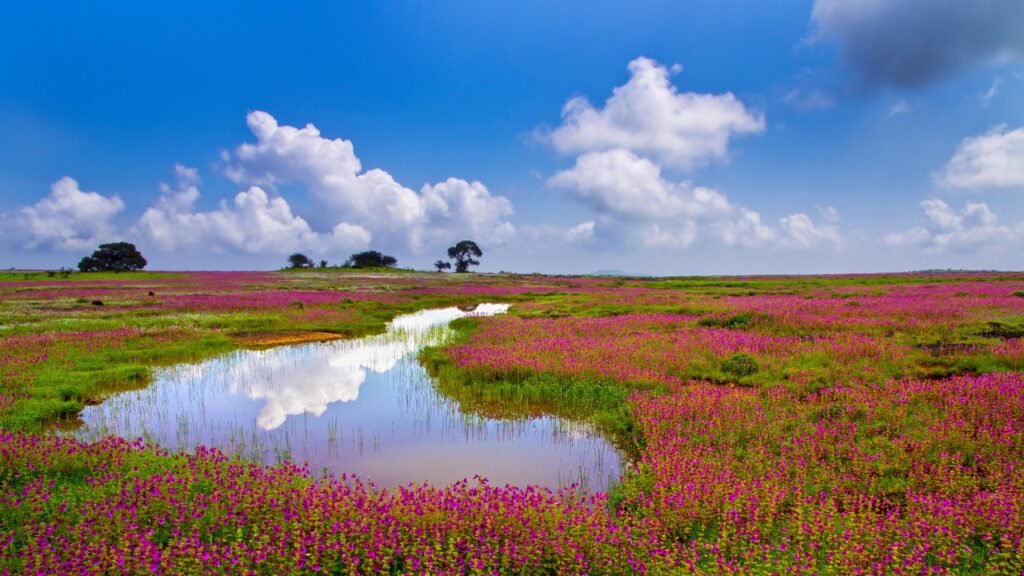 Tourist Places in Satara